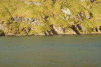 
DSC00021